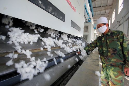棉花加工设备项目